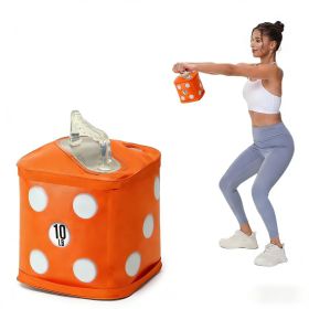 Water Filled Kettlebells, Fitness Exercise Bag 10lbs, Soft Portable Travel Weights for Strength Training, Core Training